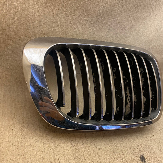 BMW 3 E46 Ön Böbrek Izgarası M07012