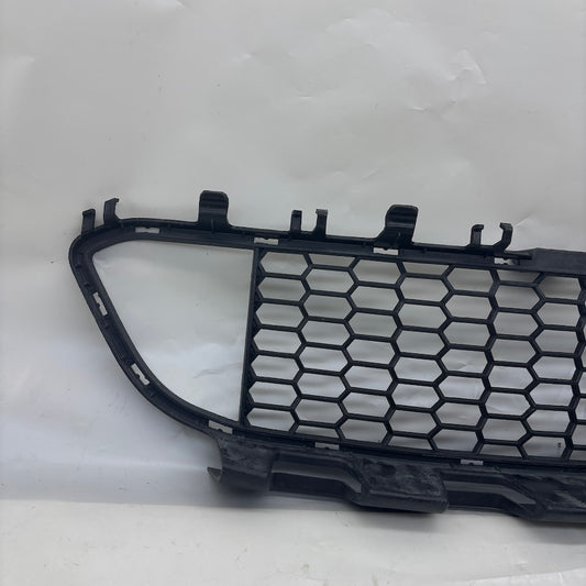 BMW F30-F31 Ön Tampon Izgarası 18648510