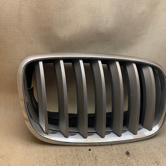 BMW X5 E70 Ön Böbrek Panjuru Sağ 7171396