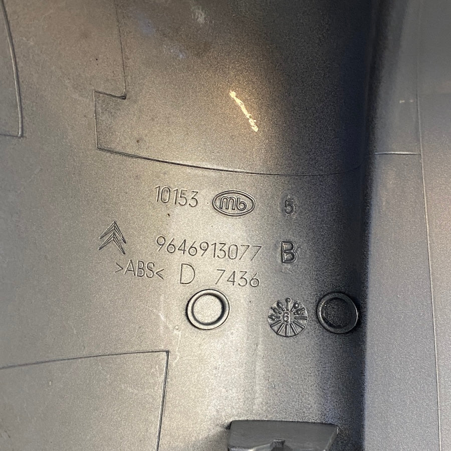 Citroen C4 Ayna Kapağı 9646913077/9646717377