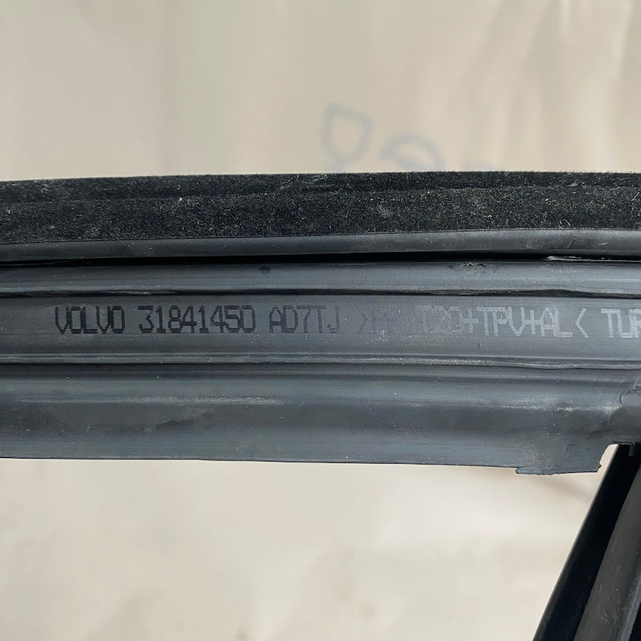 VOLVO XC90 Arka Sol Kapı Cam Fitili 31841450
