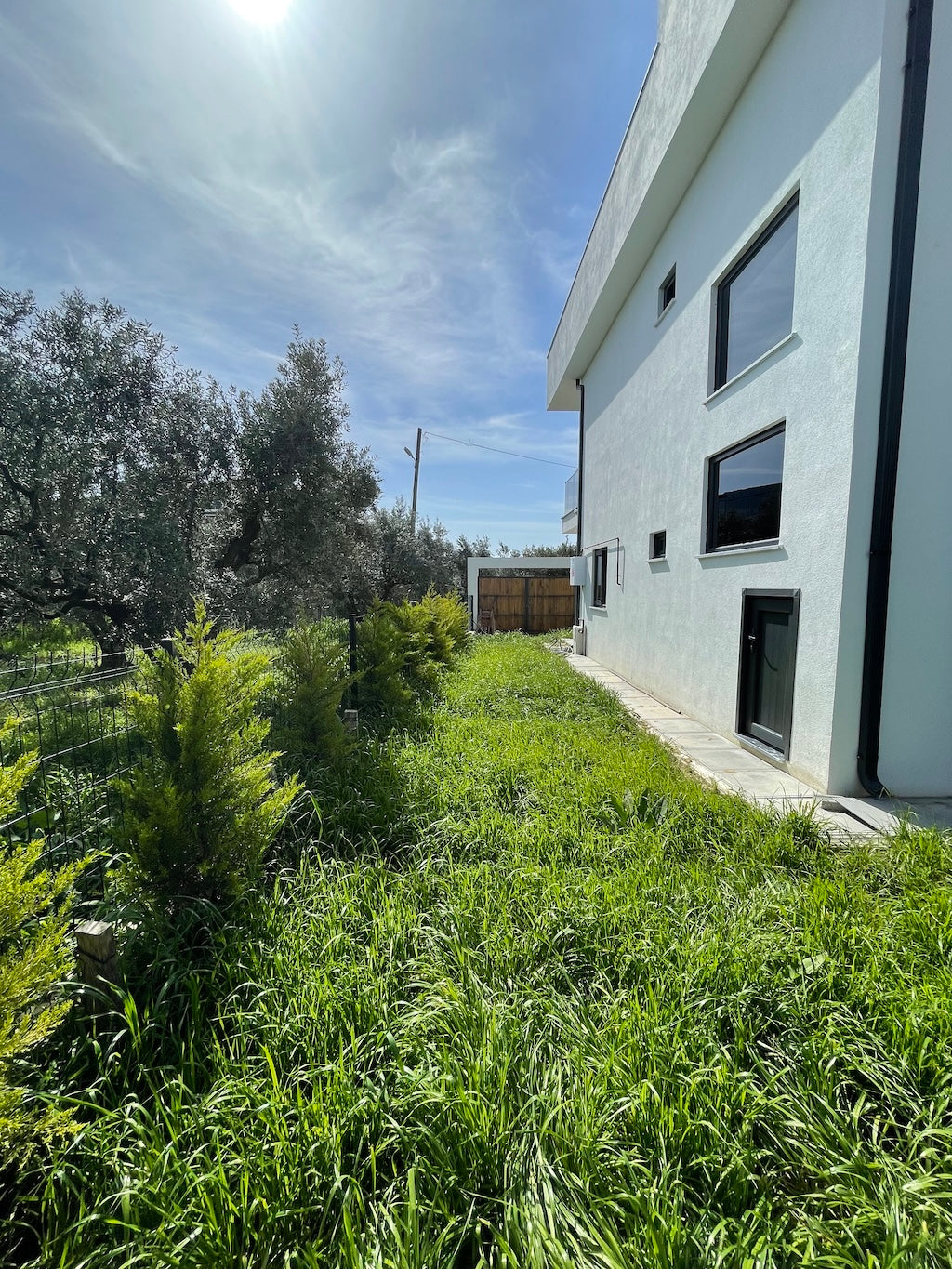 Zeytinlik içinde satılık müstakil villa dış cephe
